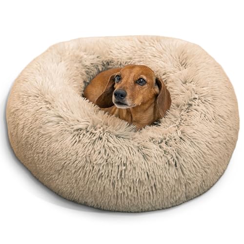 Calming donut dog bed