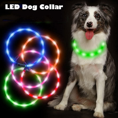 LED light-up dog collar